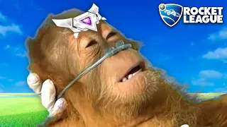 Rocket League is going to give me a heart attack