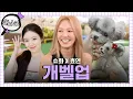 Download Lagu [SUB] SM vs CUBE Hyo-yeon X Shuhua’s Dog-parent Chemistry ｜ Inspector Global EP.4 ｜ (G)I-DLE Shuhua