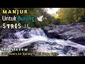 Download Lagu Terapi Suara Air Mengalir Tenang untuk Mengatasi Burung Stres || Suara Burung liar di Alam