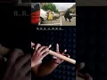 Download Lagu Main Koi Aisa Geet Gaoon Flute Notes | #mainkoiaisageetgaoon #alkayagnik #flutenotes #flutetutorial