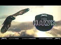 Armağan Oruç-The Hawk