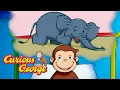 Theres An Elephant Upstairs Curious George Kids Cartoon Kids Movies