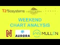 Weekend Chart Analysis TTOO CGC GOEV NLST ACB MULN