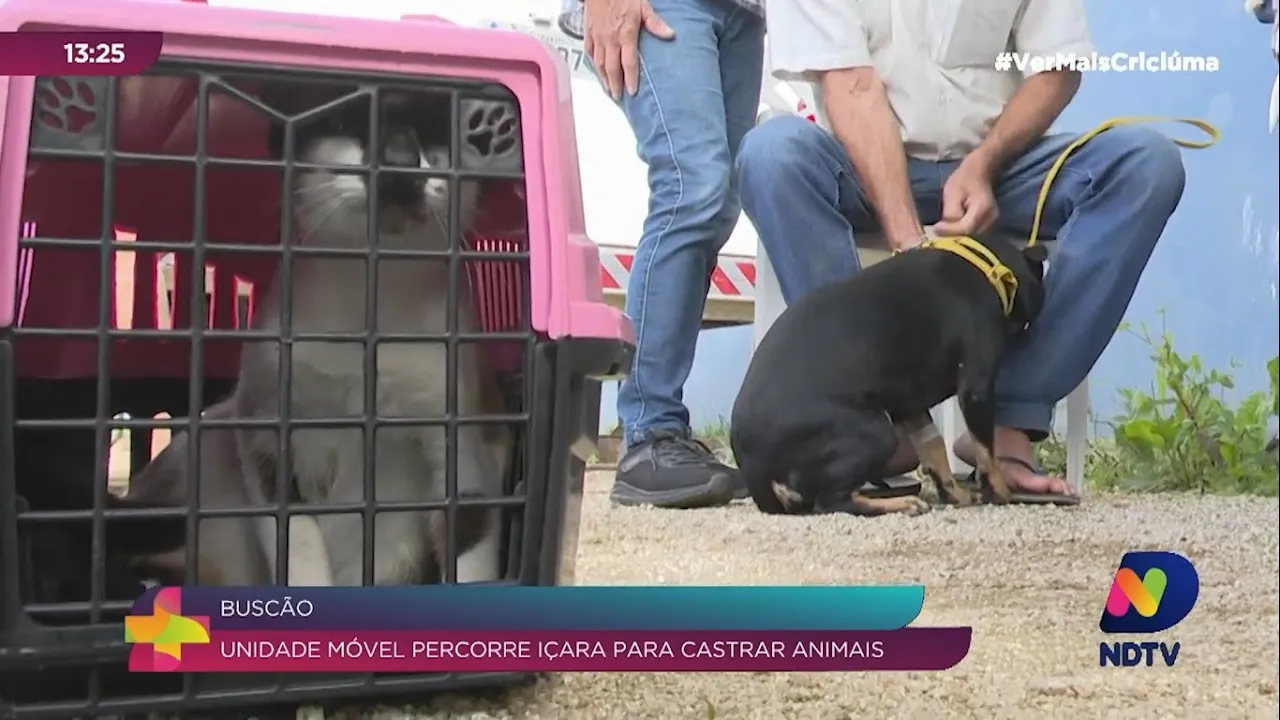 Prefeitura de Içara percorre bairros com unidade móvel para castração de cães e gatos