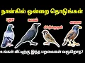 Lagu “உங்கள் வீட்டிற்கு வரும் பறவை சொல்லும் அதிர்ஷ்ட ரகசியம் | Secret Message of Birds Visiting Your Home