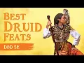 Top 10 Feats for Druids D D 5e Natural Selection