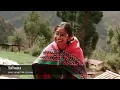Tufts Civic Semester in Peru