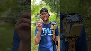 Getting LEGO Birds to FLY! 😲🦅 | LEGO Brick Shots w/ That’ll Work #Shorts