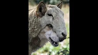 9 PICHA KWA TISHO YOUNG PESA 