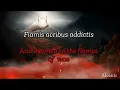Lagu W. Amadeus Mozart Requiem - Confutatis Maledictis Lyrics With English Translation