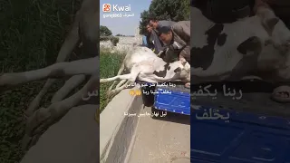 يخلف علينا ربنا ربنا يكفينا شر عيون الناس  يخلف علينا ربنا ربنا يكفينا شر عيون الناس