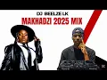 Makhadzi 2025 Vibe Mix DJ Beelze lk  🥳