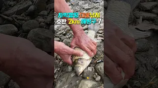 무료 오토캠핑 차박 낚시 포인트 7구역  2km, 야영 불멍 차박 캠핑 모두 OK 화장실 3곳. 남한강 차박지, 충주 우륵대교 탄금호, 썸네일