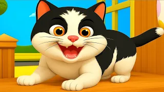 म्याऊं म्याऊं बिल्ली करती | Meow Meow Billi Karti Upar Pankha Chalta Hai | ऊपर पंखा चलता है Rhyme