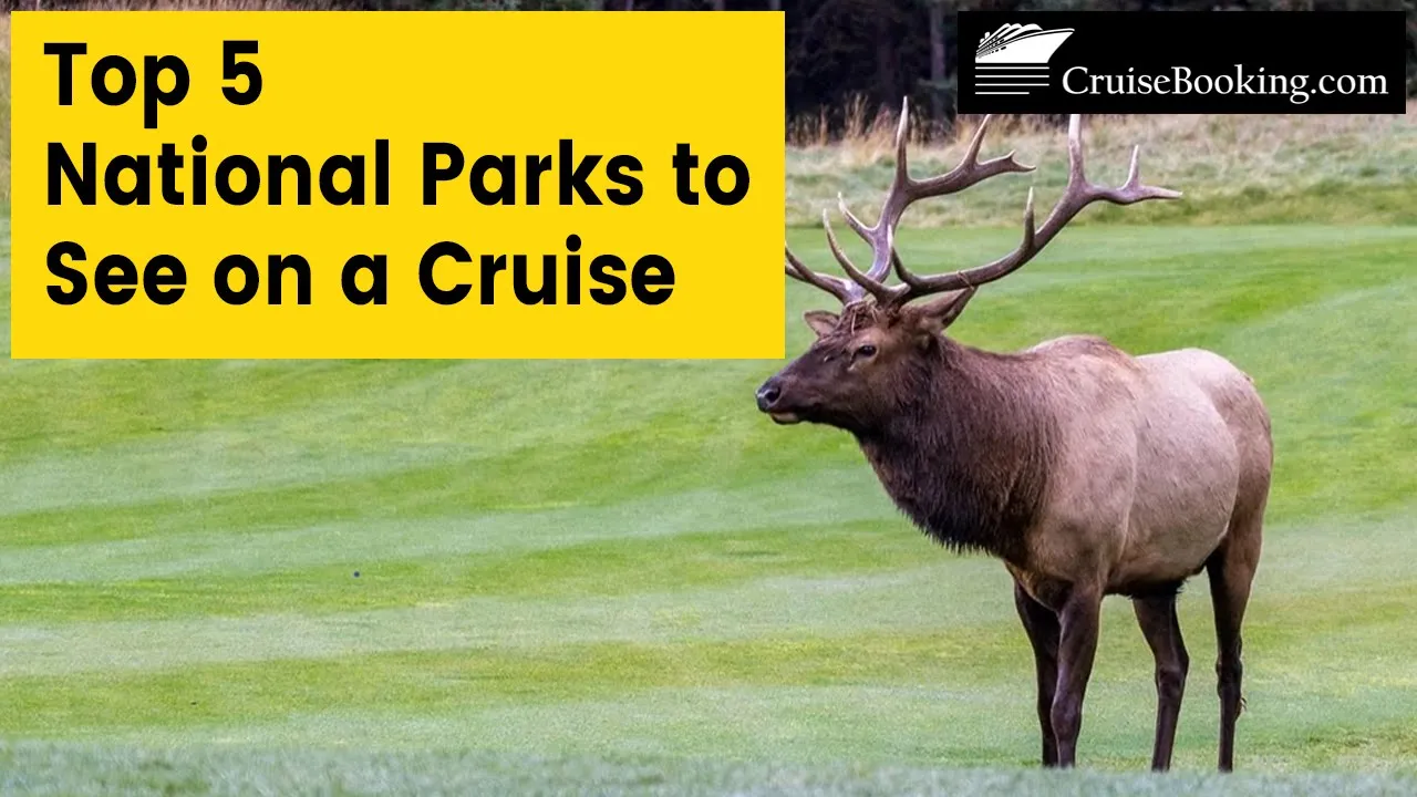 Top 5 National Parks to See on a Cruise | CruiseBooking.com