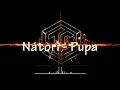 Natori - Pupa || Cover Video lyrics version