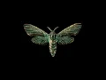 Death by a Thousand Cuts (feat. Lucas Woodland) [Feat. Lucas Woodland]