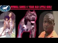 Huge Pitbull saves little girl from Predator BGK Story Time