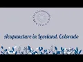 Acupuncture in Loveland Colorado