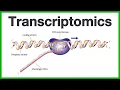 Transcriptomics A short introduction to the core concepts of microarrays and RNA sequencing