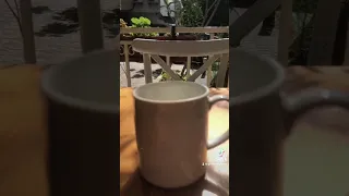 أحكيلي أحكيلي عن بلدي احكيلي فيروزيات الصباح حالات واتس اب 