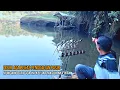 Download Lagu Mancing dekat bekas penggalian pasir ternyata di huni ikan nila babon
