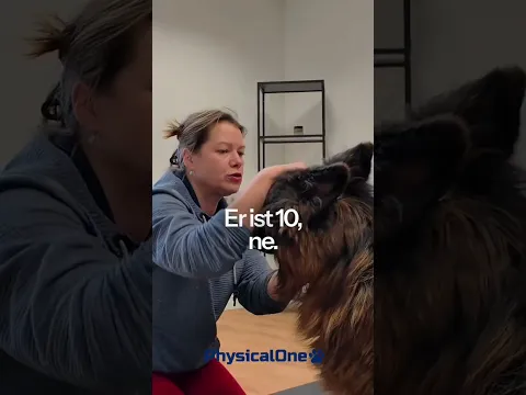 Hund kann kaum noch laufen – diese Übungen machen den Unterschied