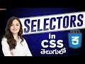 Selectors in CSS Css in Telugu