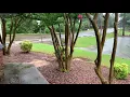Hurricane Sally Lions Park Niceville FL 9-16-2020