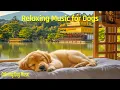 Download Lagu Calming Music for Dogs 🎶 | Reduce Anxiety \u0026 Stress Relief Naturally 🐶 (Science-Backed)