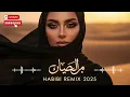 ✨ Habibi Remix 2025 – Chill Arabic EDM | Night in the Dunes