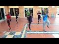 celine dion baby body combat zorkout