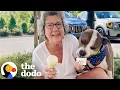 Download Lagu Pit Bull’s Favorite Person In The World Is His Grandmother | The Dodo