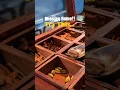 Download Lagu “Far From Home, Close to Heart” #yt #ytshorts #viral #viralshorts #shorts #trending #food #fyp #uk