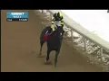Aqueduct races summary December