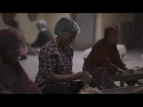 JAFF20 Trailer | For a Moment, The Moon and Stars Aligned / Kurinrera | Layar Komunitas