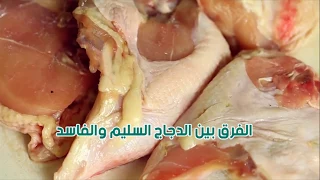 الفرق بين الدجاج السليم والفاسد دندنها