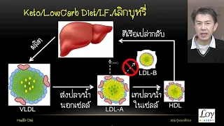 อะไรทำให้ LDL กลายเป็นซอมบี้ที่อันตรายต่อหลอดเลือด?