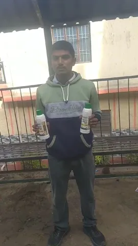 हिमाचल में हमीरपुर के किसान मक्का और गेहूं के लिए क्यों खास बता रहे नैनो यूरिया का इस्तेमाल