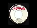 Fisherman & Dub - The Congos & The Upsetters