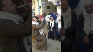 الريس محمد كمال أبو كمال  دارت الايام  دندنها