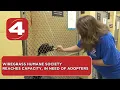 Wiregrass Humane Society reaches capacity in need of adopters
