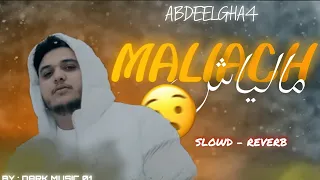                        م  ال ياش                    دندنها