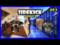 Download Lagu CAT MEMES 😺 SIDEKICK SERIES EP1 [Season 2]