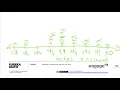 lesson 8 homework module 6 grade 3