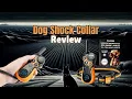 Download Lagu How Effective is the PAWPRO Dog Shock Collar for Training Your Dog? | Review