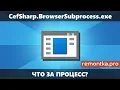 CefSharp BrowserSubprocess What Is This Process in Windows Task Manager