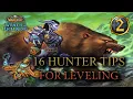 16 Tips For Leveling As A Hunter in WoTLK Classic