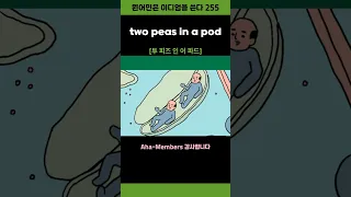 Two Peas In A Pod 영어이디엄 Shorts 