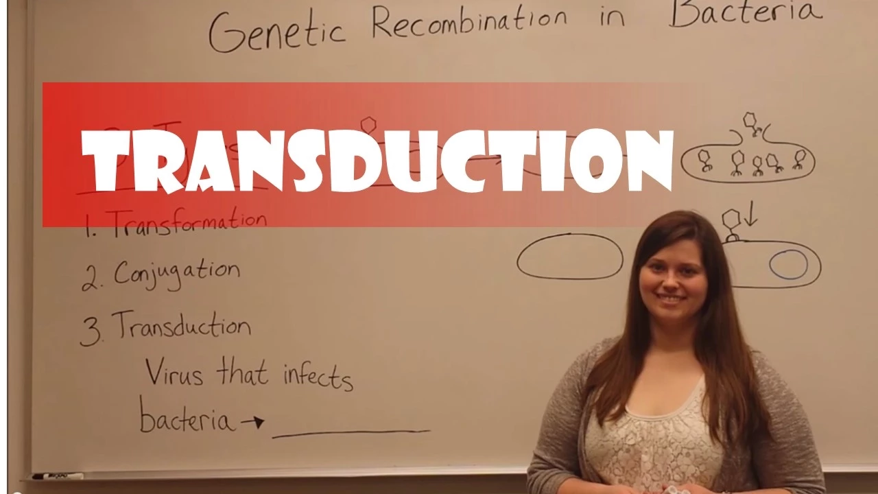 Transduction